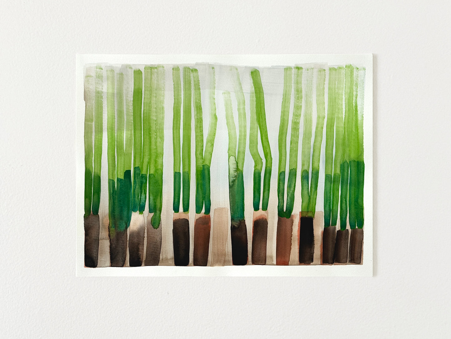 Swampgrass 2